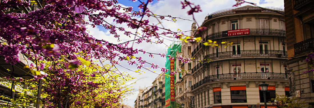   ¡%ВЕСЕННИЕ СТАРТЫ%!